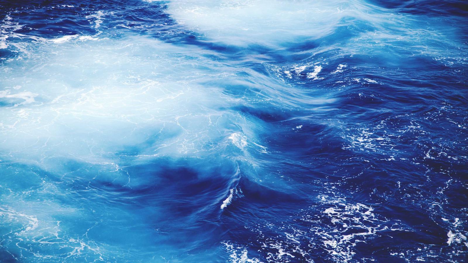 Como Fazer Tradução De Documentos De Refinaria — Como Fazer Tradução De Relatório Ambiental Eia/rima